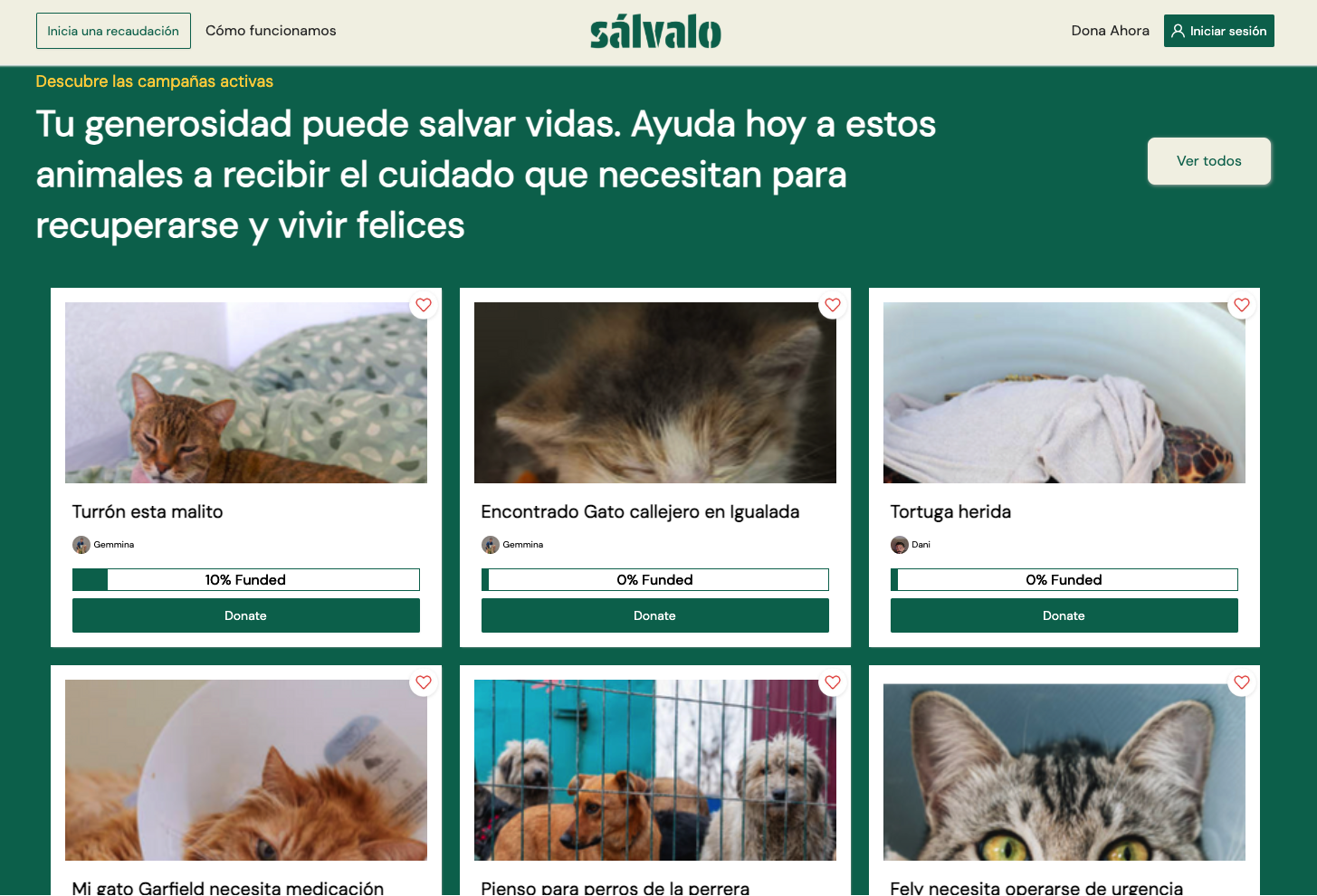 Crowdfunding Platform for dogs